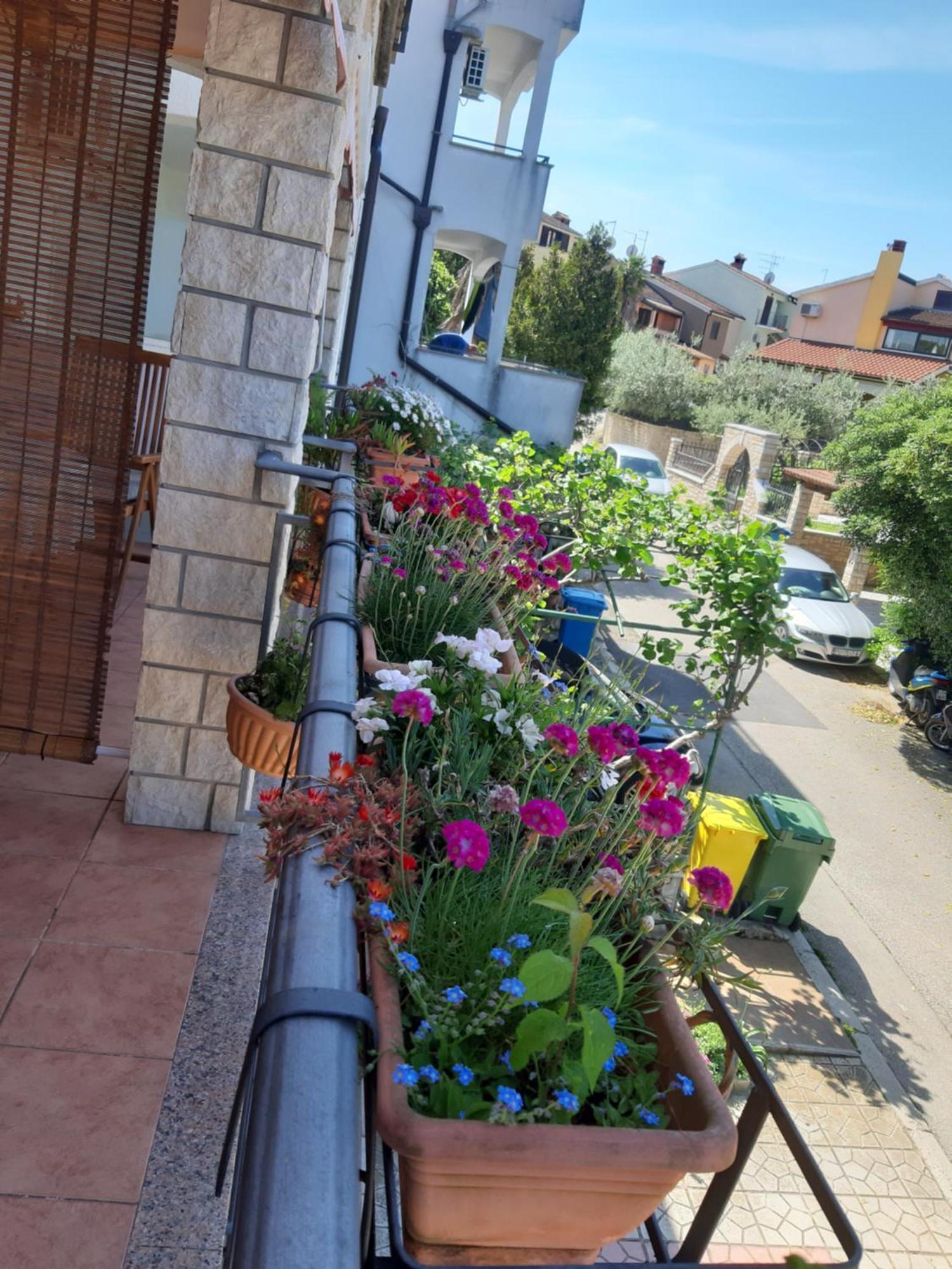 Apartamento Adria Vrsar Exterior foto