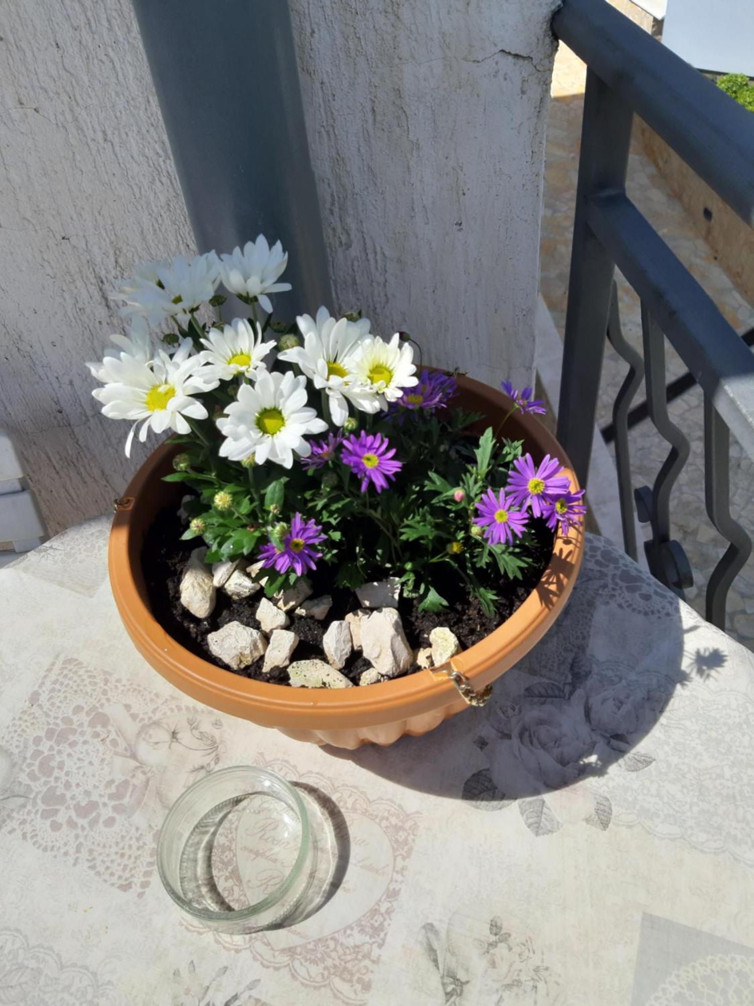 Apartamento Adria Vrsar Exterior foto