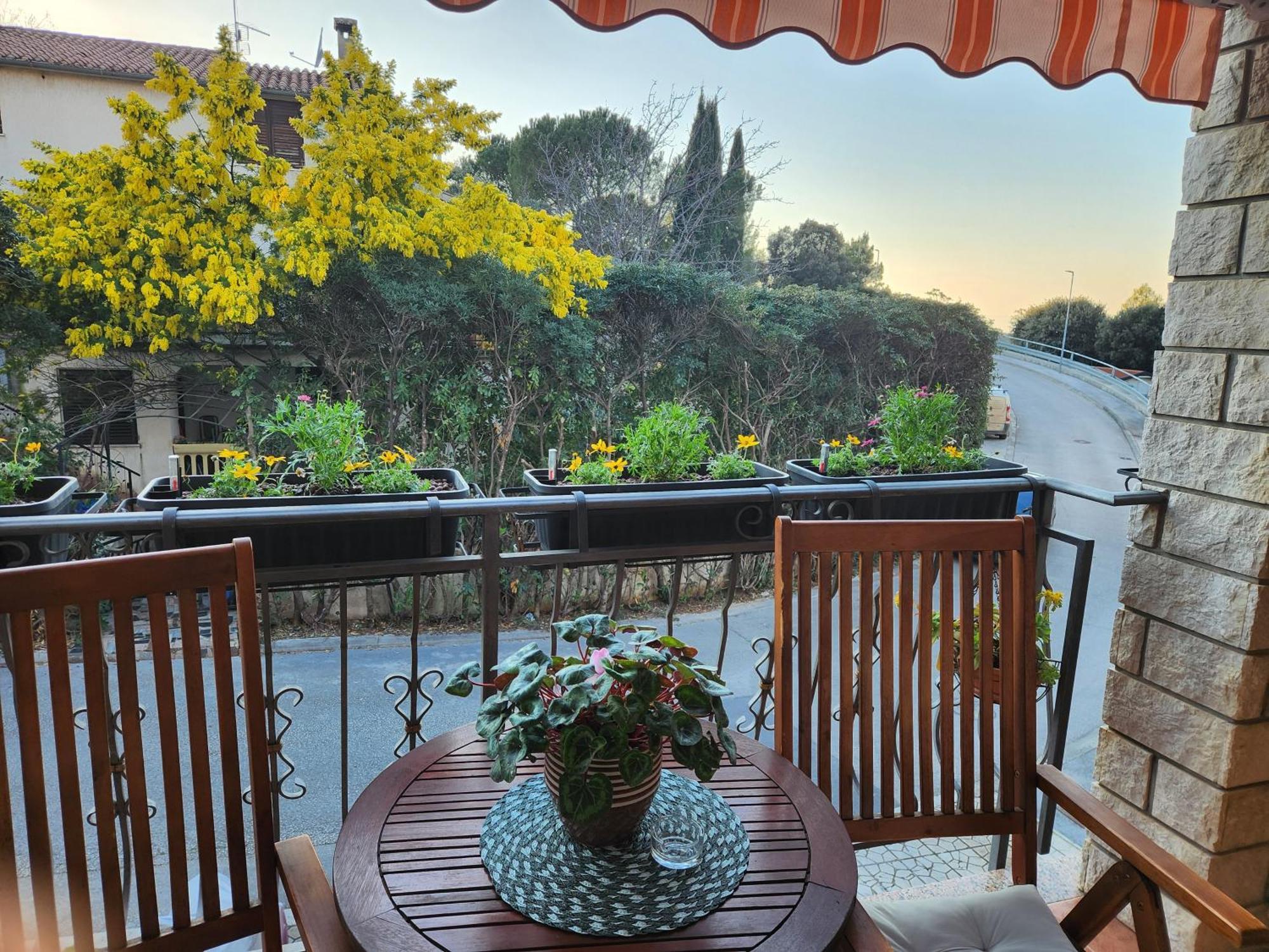 Apartamento Adria Vrsar Exterior foto